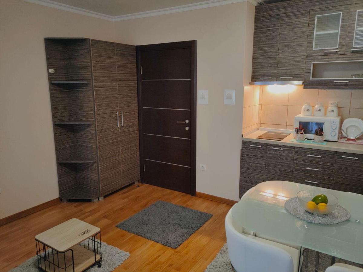 Apartman Jovanovic Vrnjačka Banja Екстериор снимка